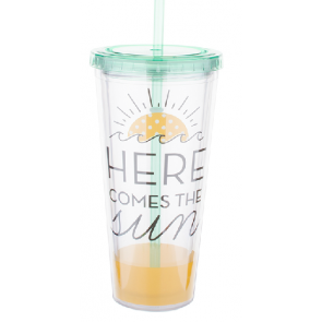 Tanana Summer Iced Drink Tumbler with lid and straw 640ml, 22oz