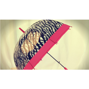 Stylish Zebra Print Pink Canopy Umbrella